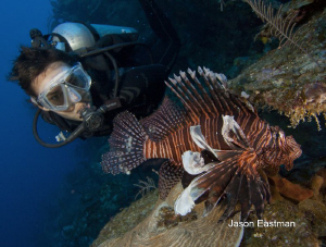 Diver Encounter with a Red Lionfish
East End, Grand Caym... by Jason Eastman 